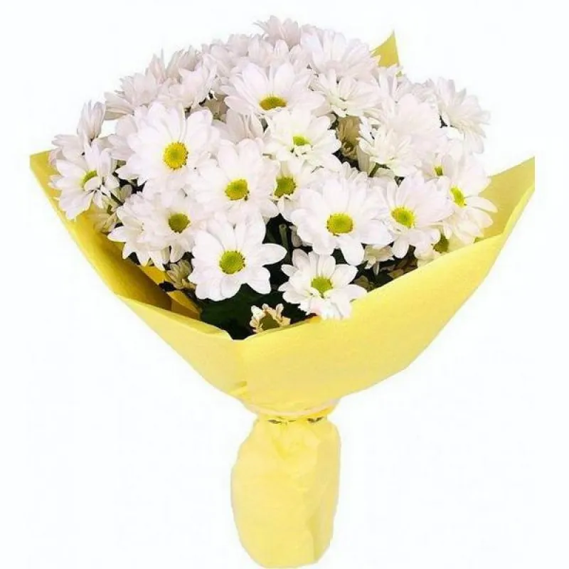 Букет из белых ромашковых хризантем, доставка Абдрахманово